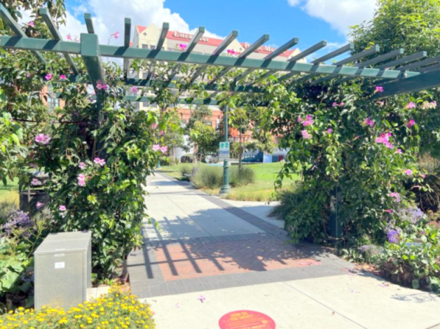 Park - Shopping Entrance